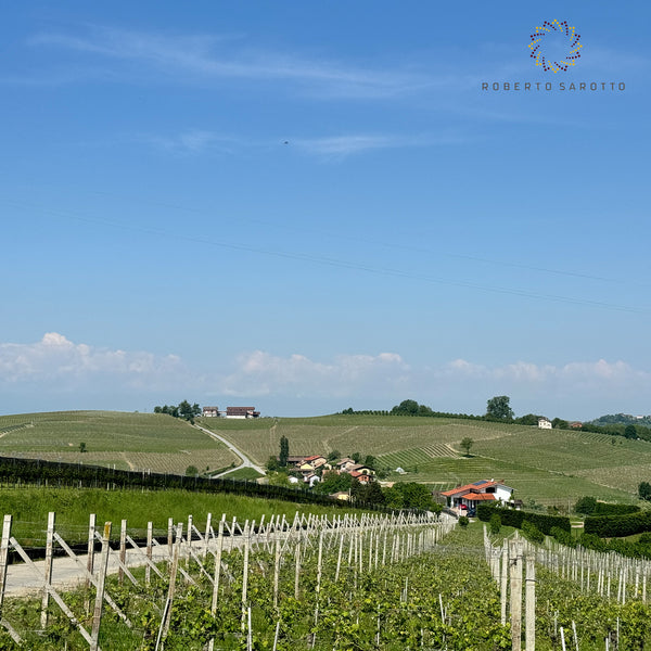 ROBERTO SAROTTO PIEMONTE | BARBARESCO DOCG RISERVA