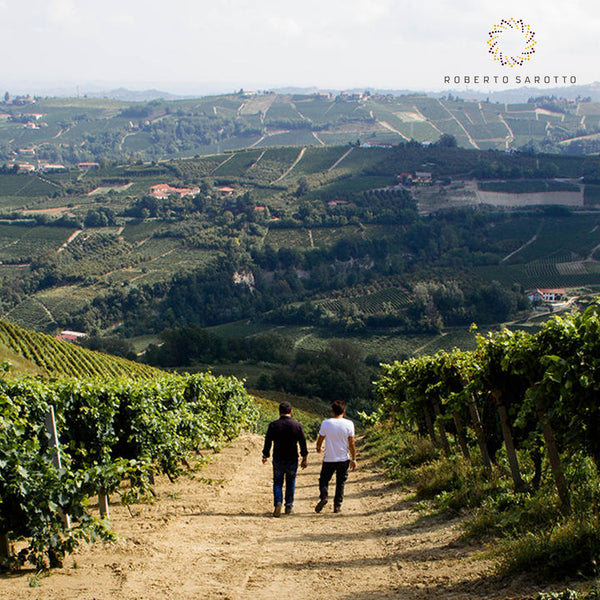 ROBERTO SAROTTO PIEMONTE | ENRICO NR.1 LANGHE ROSSO DOC