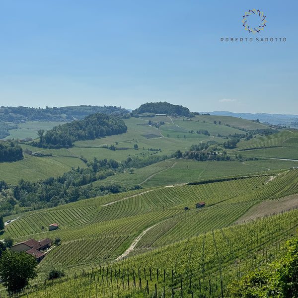 ROBERTO SAROTTO | LAUTUS LANGHE DOC ROSSO